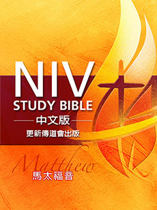 W1-01-01e NIV Study Bible 中文版 馬太福音 免費下載